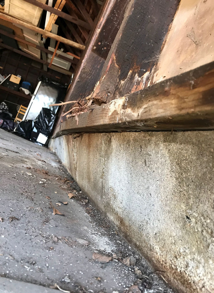 Strange-Structural-Inspections