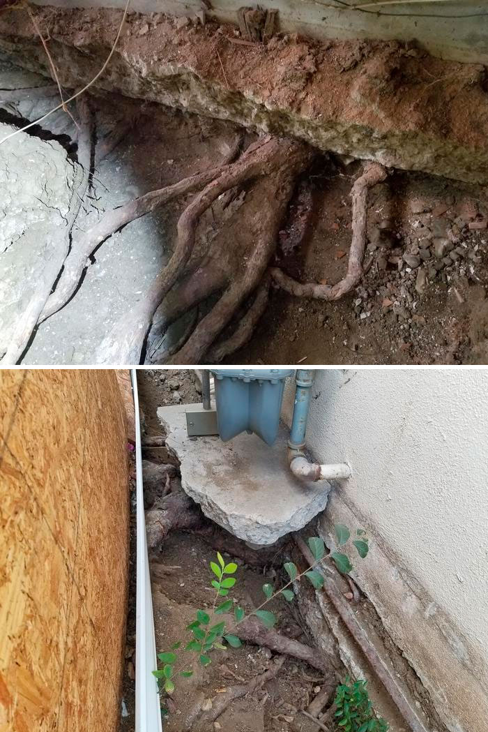 Strange-Structural-Inspections