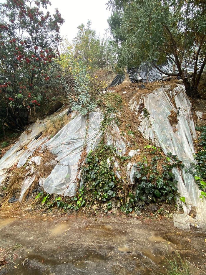 Strange-Structural-Inspections