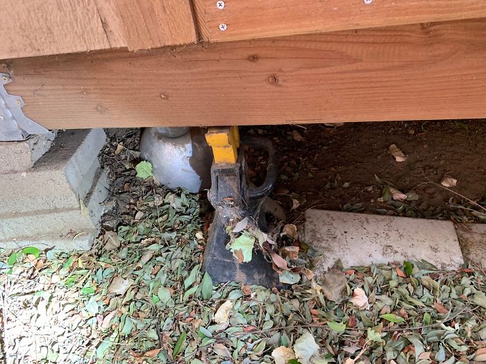 Strange-Structural-Inspections