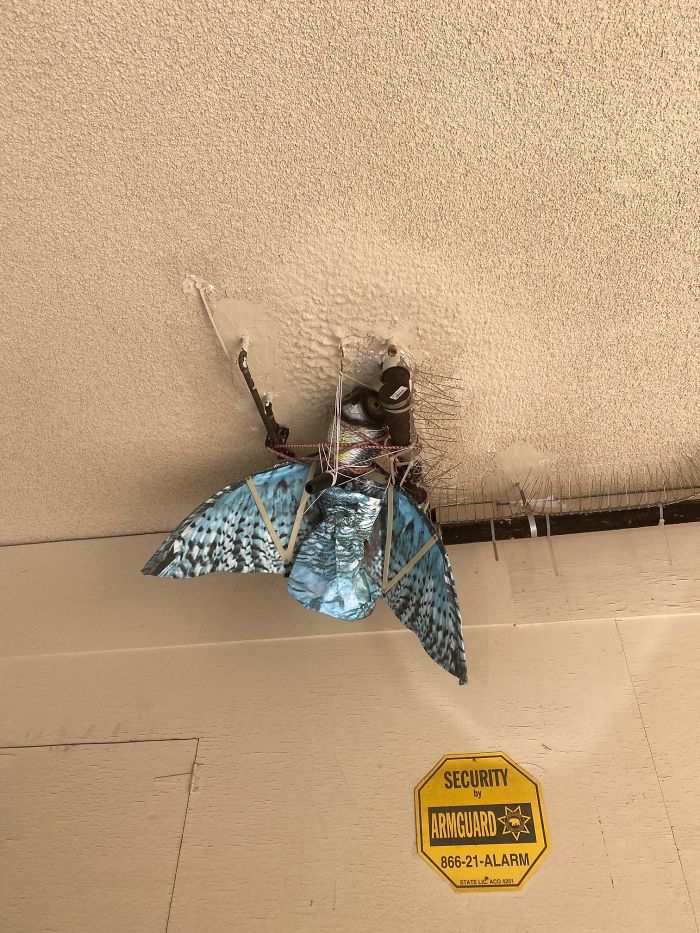 Strange-Structural-Inspections