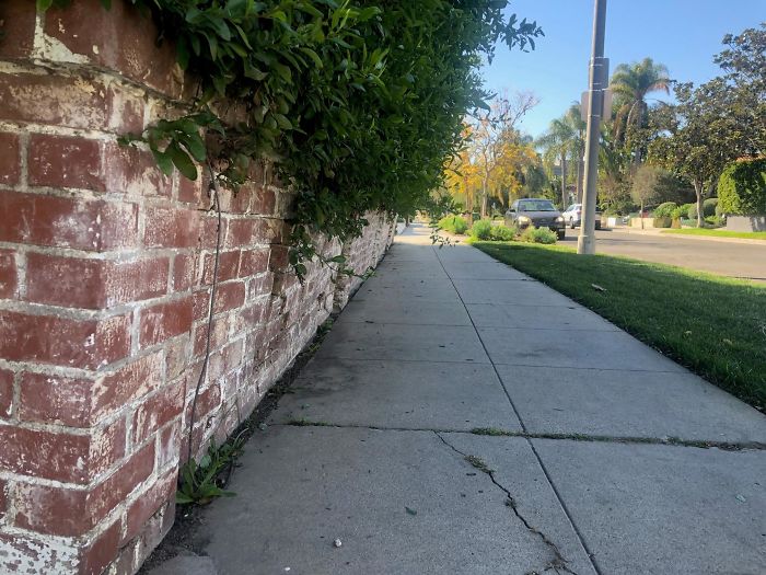 Strange-Structural-Inspections