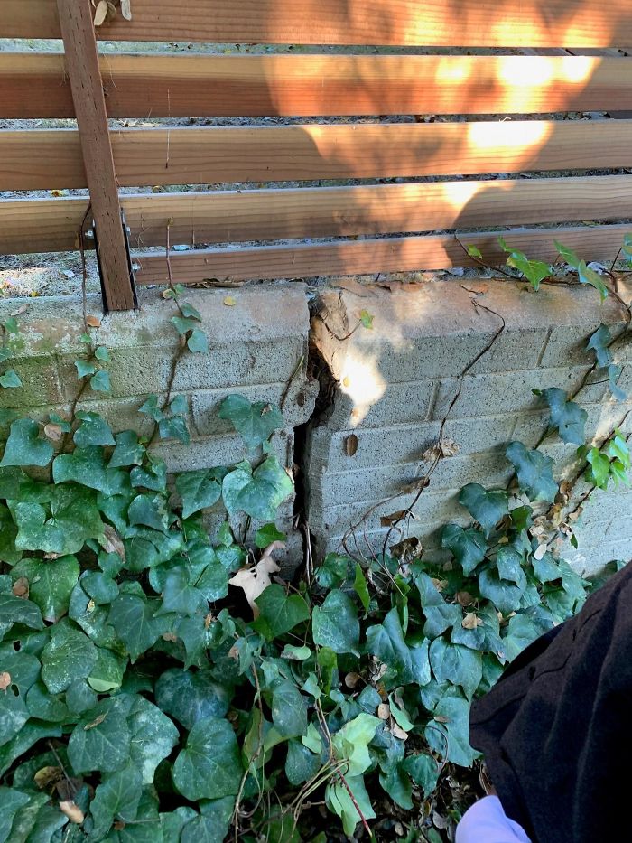 Strange-Structural-Inspections