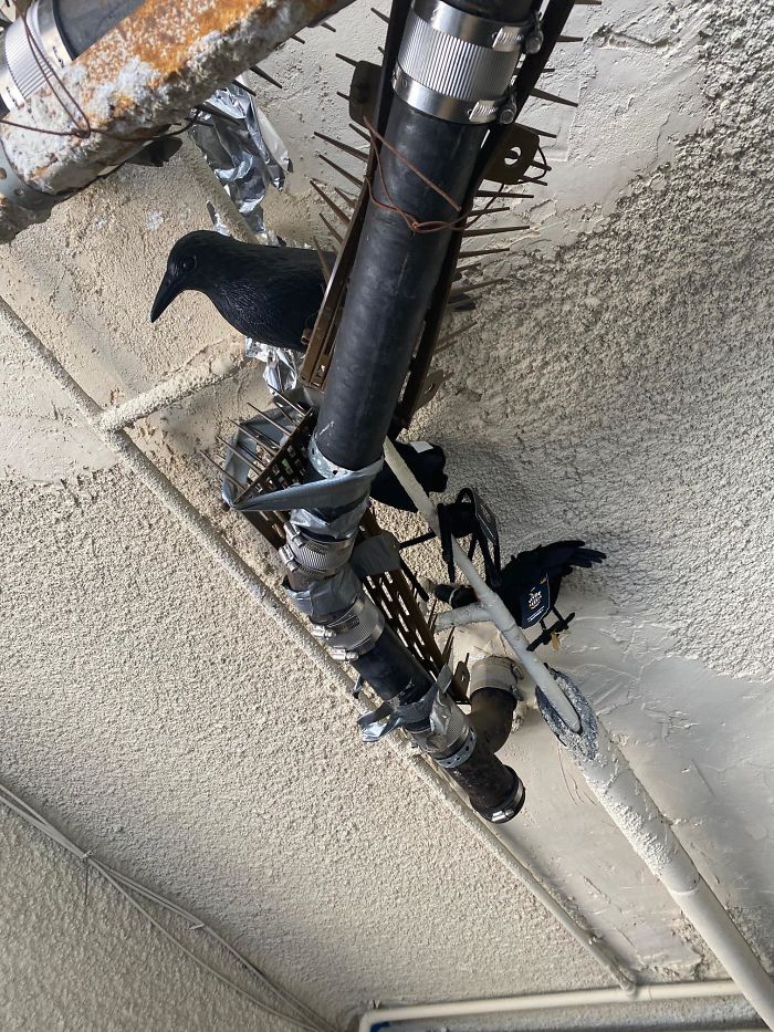 Strange-Structural-Inspections