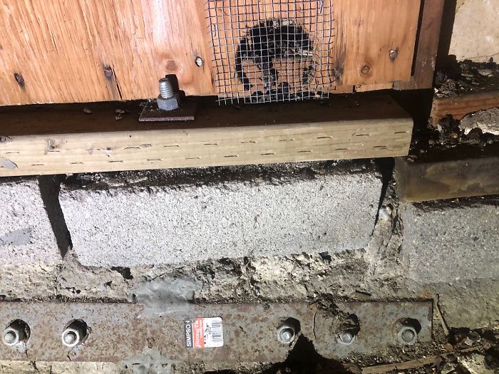 Strange-Structural-Inspections