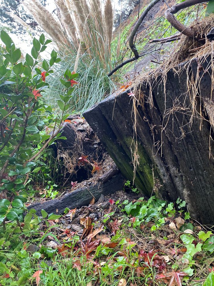 Strange-Structural-Inspections