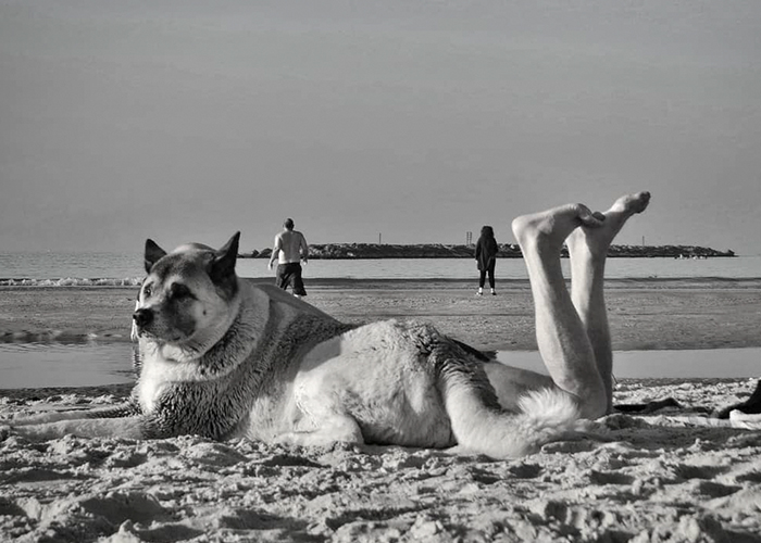 Street Photographer Captures Entertaining Shots, And Here Are 30 Of The Best Ones