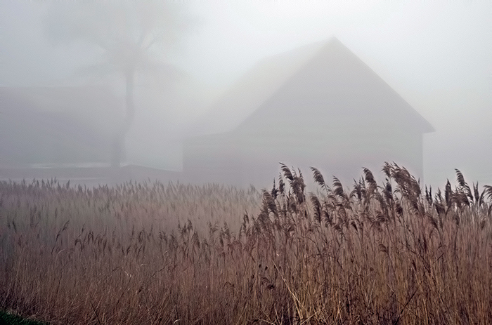 15 People Shared Creepy Stories About Their States 15 People Shared Creepy Stories About Their States