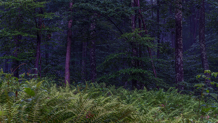 15 People Shared Creepy Stories About Their States 15 People Shared Creepy Stories About Their States