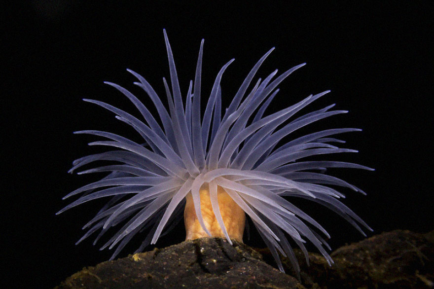 British Waters Compact Category: 'Sea Loch Specialty' By James Lynott, UK