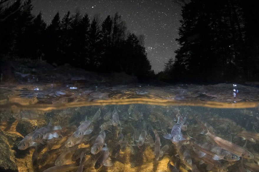 Wide Angle Category: 'Beneath Starry Skies' By Sean Landsman, Canada