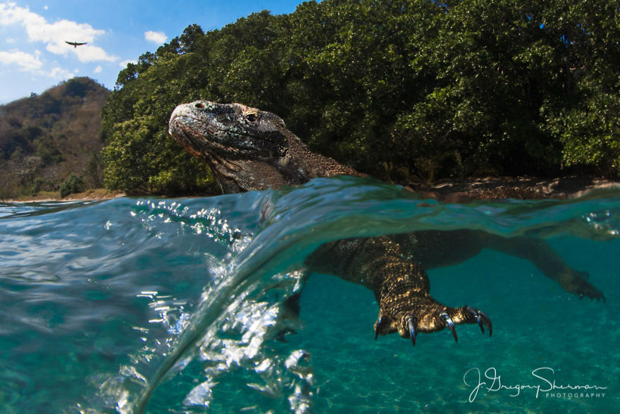 Wide Angle Category: 'Dragon Split' By J. Gregory Sherman, USA