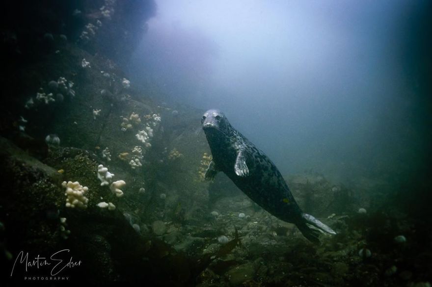 British Waters Compact Category: 'Million Miles Away' By Martin Edser, UK