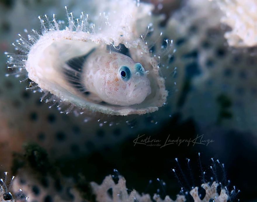 Compact Category: 'In My Place' By Kathrin Landgraf-Kluge, Germany