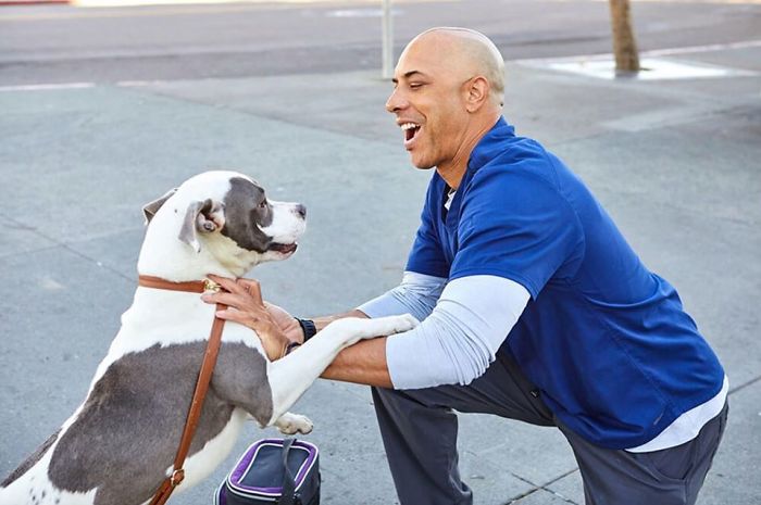 This Man Is A Veterinarian Who Walks Around California And Treats Homeless People's Animals For Free