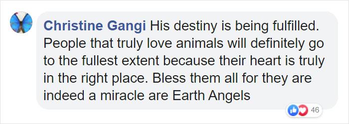 This Man Is A Veterinarian Who Walks Around California And Treats Homeless People's Animals For Free