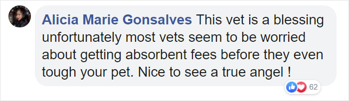 This Man Is A Veterinarian Who Walks Around California And Treats Homeless People's Animals For Free This Man Is A Veterinarian Who Walks Around California And Treats Homeless People's Animals For Free