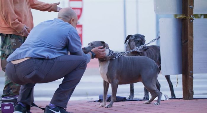 This Man Is A Veterinarian Who Walks Around California And Treats Homeless People's Animals For Free