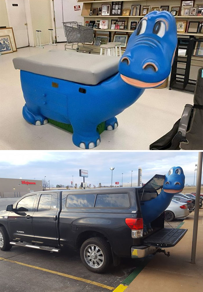 I Live A Mile Away From This Store And Couldn't Turn This Awesome Dino Down! I Love It!! I'm Thinking Of Putting It In My Son's Room. He Is 3 And He Will Love Looking At It!!