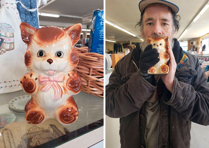 Dogcatbear Came Home With Me From The Eureka Rescue Mission Thrift Store