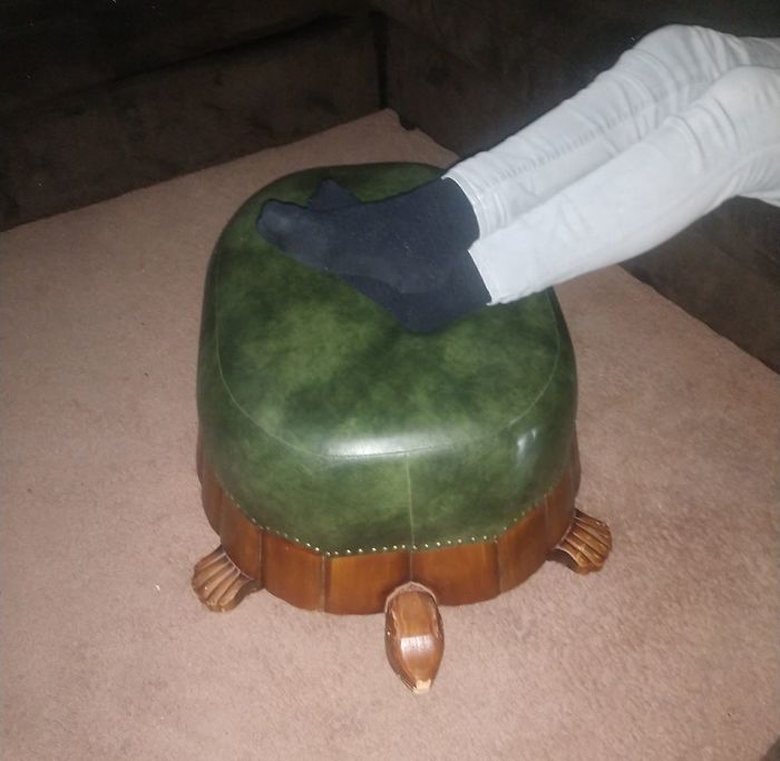 Say Hello To Our Newest Family Member Stubby The Turtle! We Named Him Stubby Because Of What Will Eventually Happen To Our Toes. He's A Rescue From Goodwill