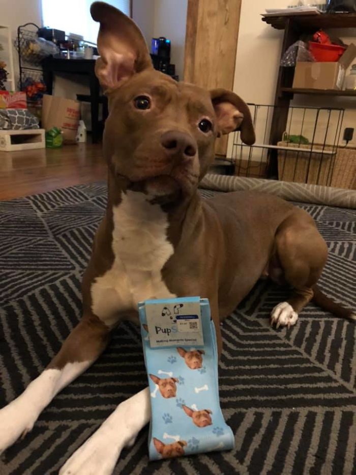 Socks I Found At Goodwill, It’s Literally My Dog!! Who Gets Rid Of Socks They Put Their Dog On? Such An Amazing Find! A Whole 3.99