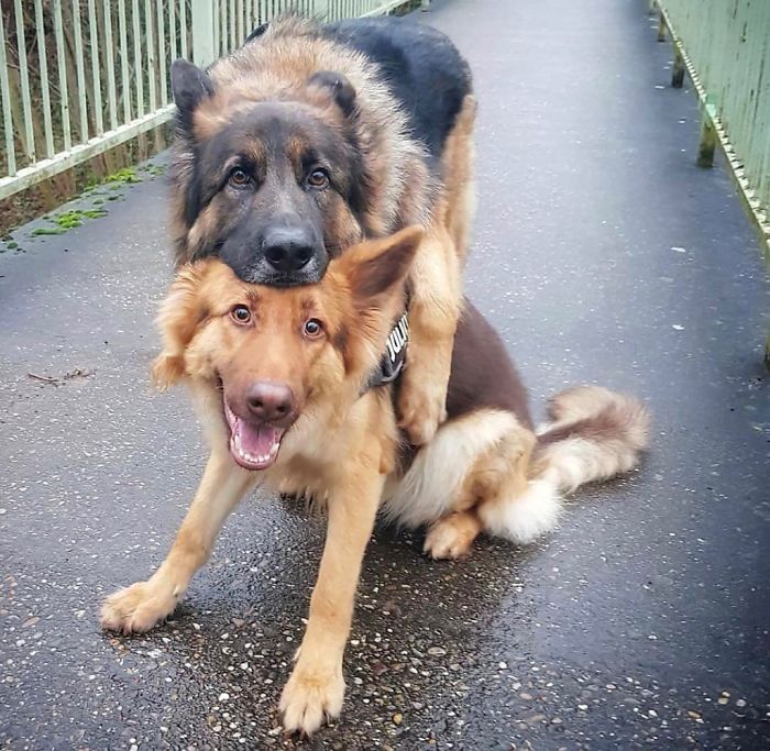 Best Buds Pose For A Best Buds Picture