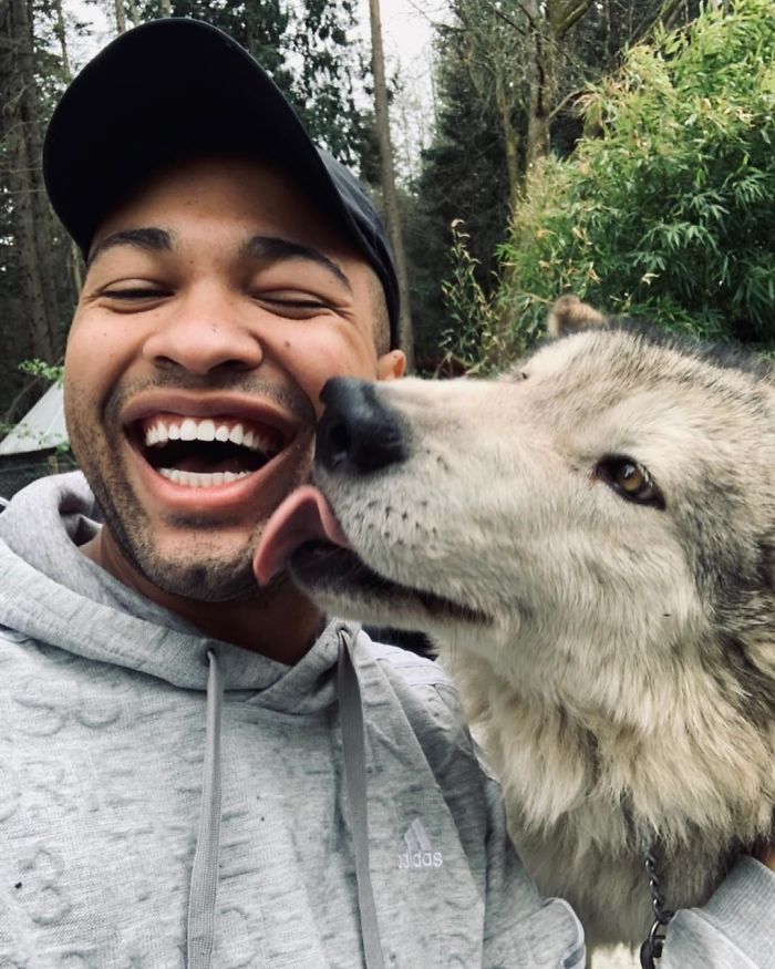 This Island Is Full Of Friendly Wolves And You Can Visit It This Island Is Full Of Friendly Wolves And You Can Visit It