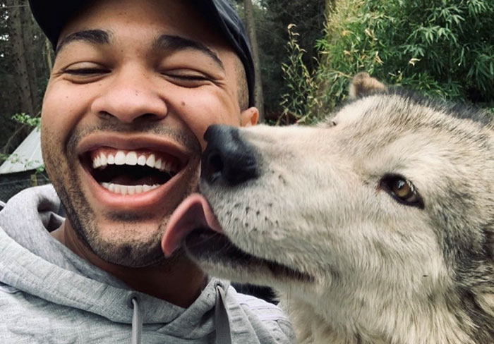 Esta isla está llena de lobos amigables, y se puede visitar