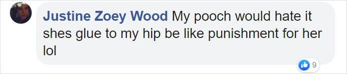 Woman Builds A Cozy Room Under The Stairs For Her Dog And The Pooch Loves It So Much That She Refuses To Leave