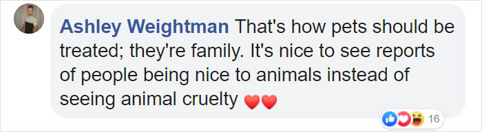 Woman Builds A Cozy Room Under The Stairs For Her Dog And The Pooch Loves It So Much That She Refuses To Leave