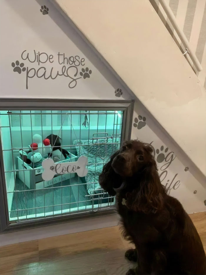 Woman Builds A Cozy Room Under The Stairs For Her Dog And The Pooch Loves It So Much That She Refuses To Leave