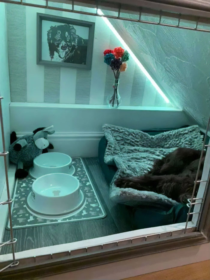 Woman Builds A Cozy Room Under The Stairs For Her Dog And The Pooch Loves It So Much That She Refuses To Leave