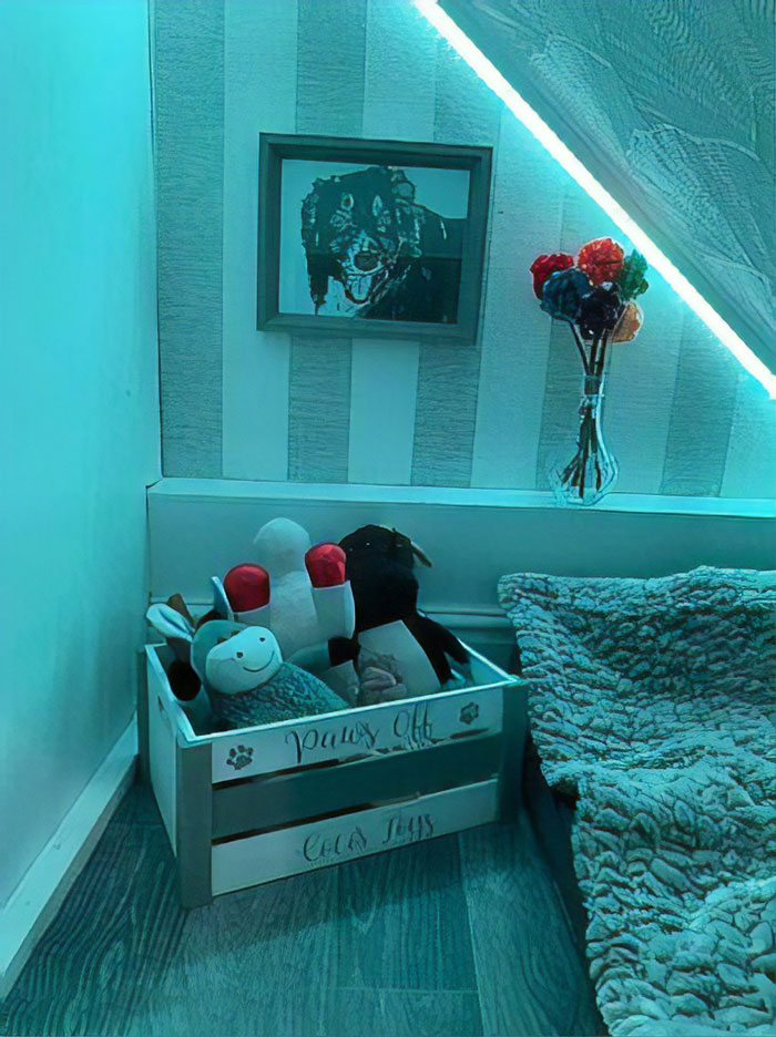 Woman Builds A Cozy Room Under The Stairs For Her Dog And The Pooch Loves It So Much That She Refuses To Leave