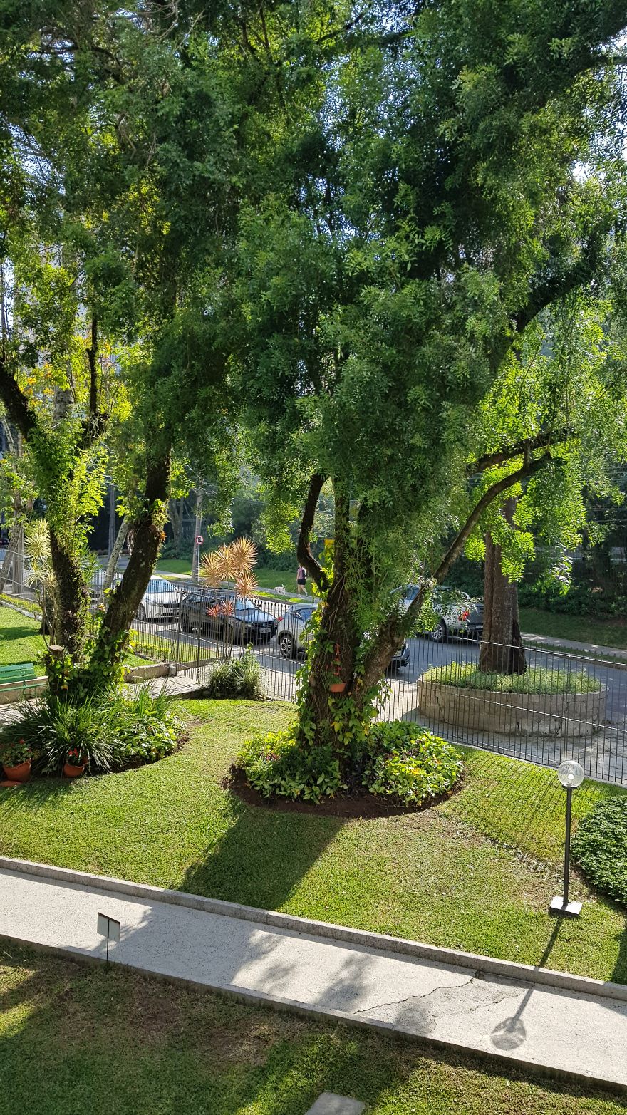 Photo By Ana Lucia (Curitiba, Brazil)