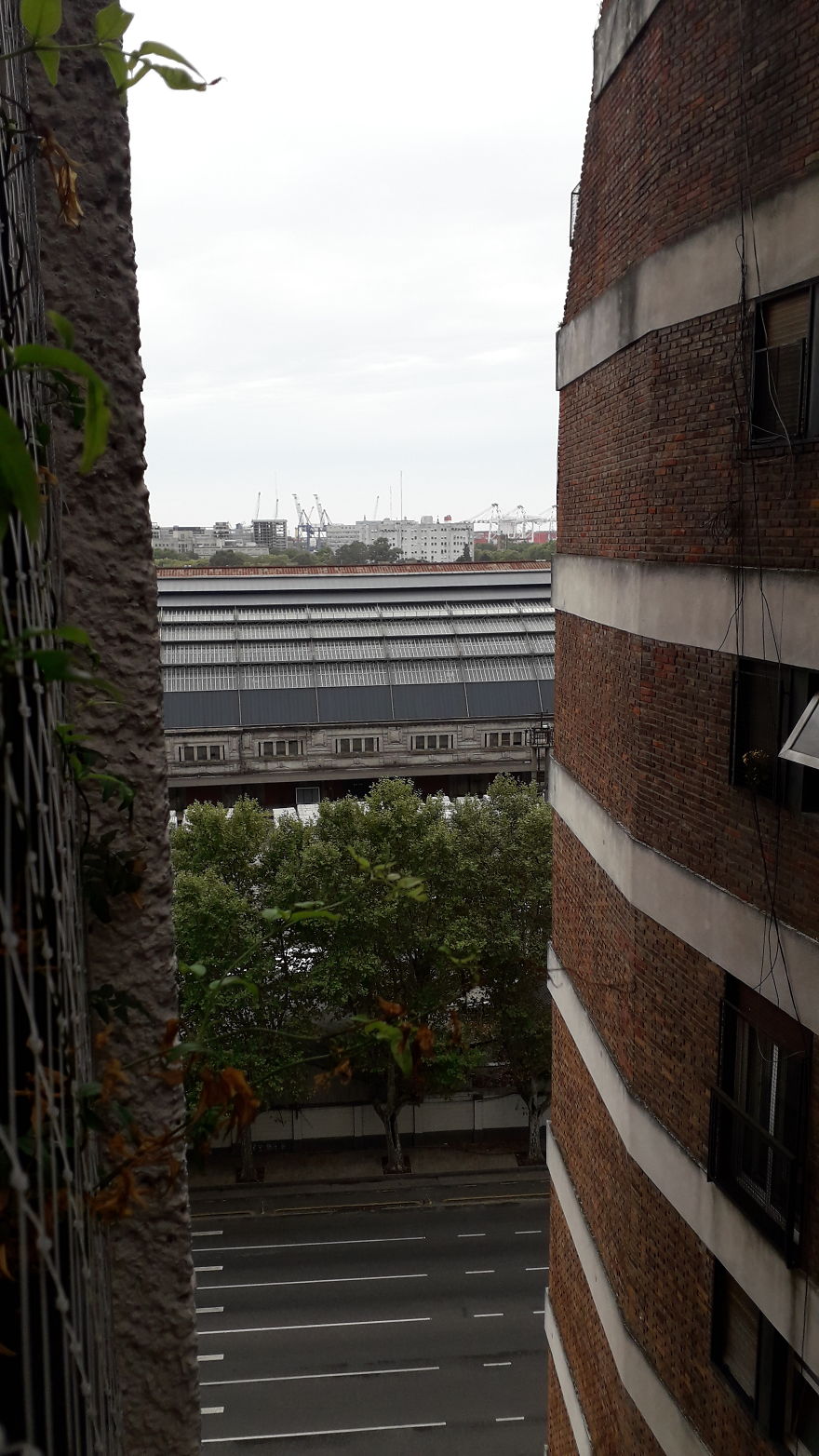 Maria José (Buenos Aires, Argentina)