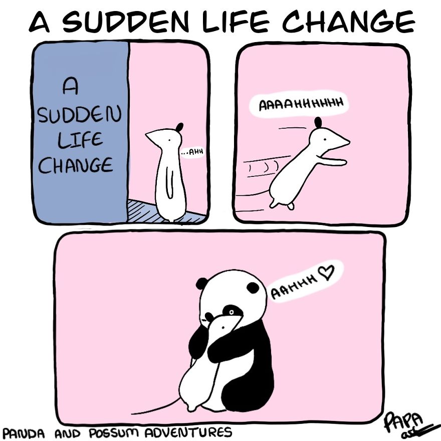 Panda And Possum Adventures- Webcomic