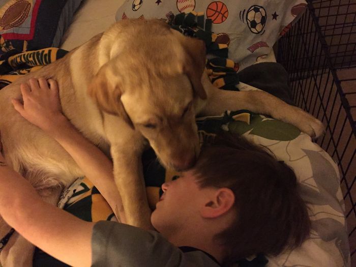 The Story Of My Service Doge, Chopper