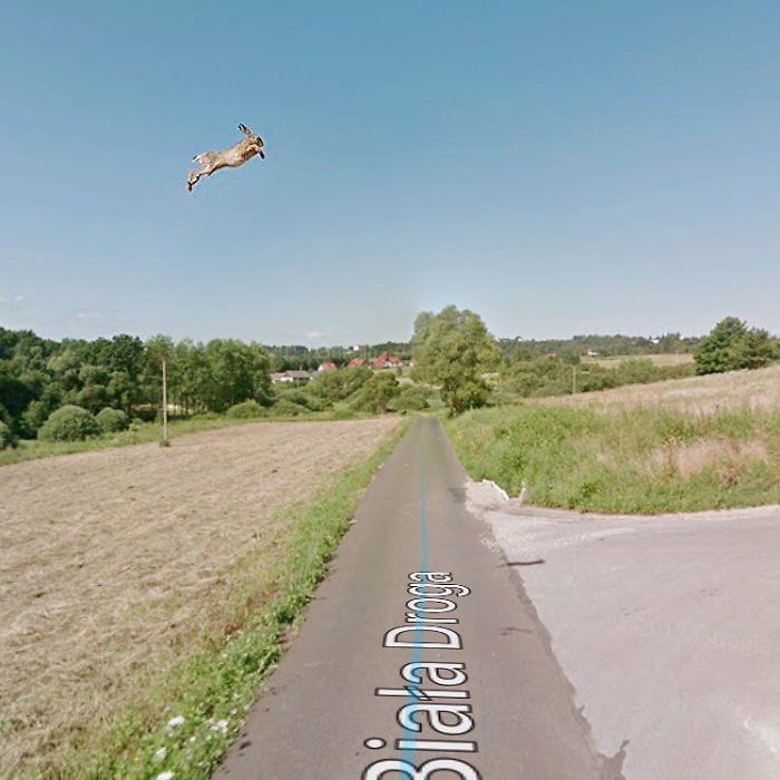 During Quarantine I Travel Around Poland Online And Find These Great Shots On Google Street View