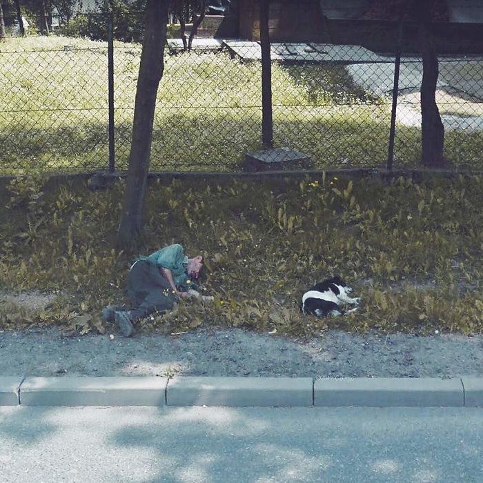 During Quarantine I Travel Around Poland Online And Find These Great Shots On Google Street View