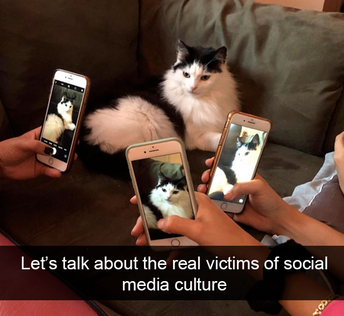 Cat-Snapchat-Funny