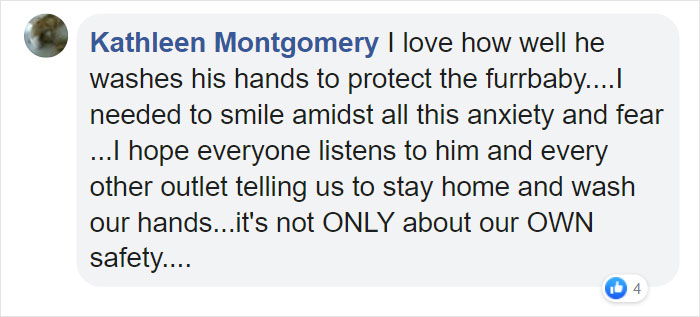 Arnold Schwarzenegger Is Self-Isolating At Home With His Mini Horse, Whiskey And Pet Donkey During Quarantine