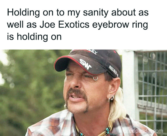 Man with mullet and cap with meme text about sanity and eyebrow ring, inspired by Tiger King.