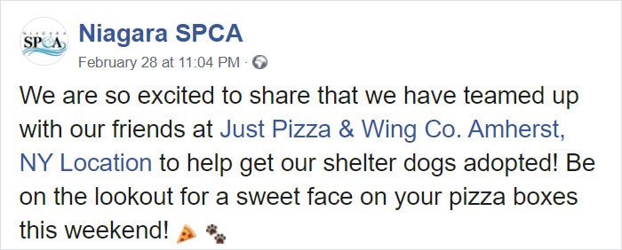 Pizza Place Helps Local Shelter Get Dogs Adopted By Putting Their Photos On Pizza Boxes