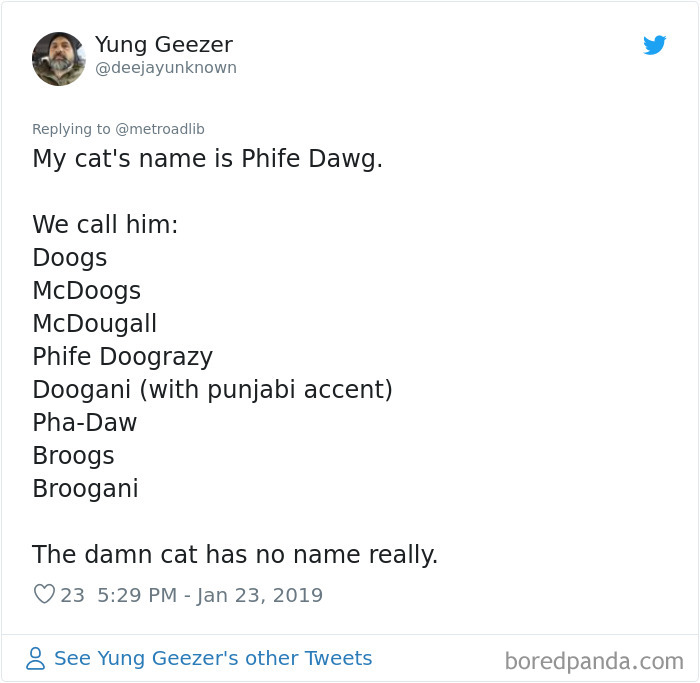 Pet-Name-Evolution