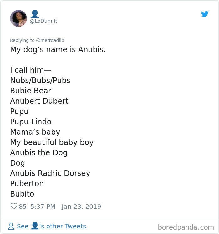 Pet-Name-Evolution