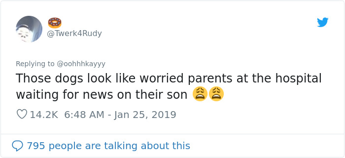 Wholesome Dad Finds Dog's 'Baby' Dying In The Rain, 'Hospitalizes' It And Sends Live Updates To The Family Wholesome Dad Finds Dog's 'Baby' Dying In The Rain, 'Hospitalizes' It And Sends Live Updates To The Family