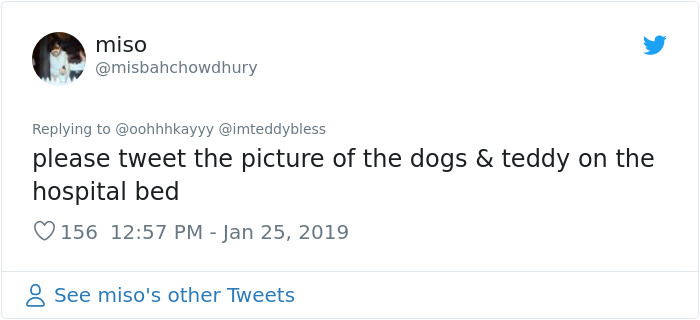 Wholesome Dad Finds Dog's 'Baby' Dying In The Rain, 'Hospitalizes' It And Sends Live Updates To The Family Wholesome Dad Finds Dog's 'Baby' Dying In The Rain, 'Hospitalizes' It And Sends Live Updates To The Family