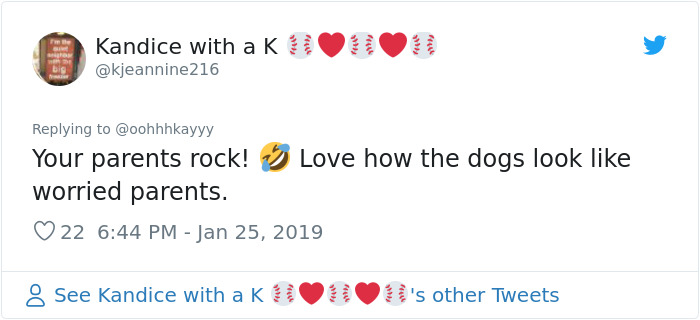 Wholesome Dad Finds Dog's 'Baby' Dying In The Rain, 'Hospitalizes' It And Sends Live Updates To The Family Wholesome Dad Finds Dog's 'Baby' Dying In The Rain, 'Hospitalizes' It And Sends Live Updates To The Family