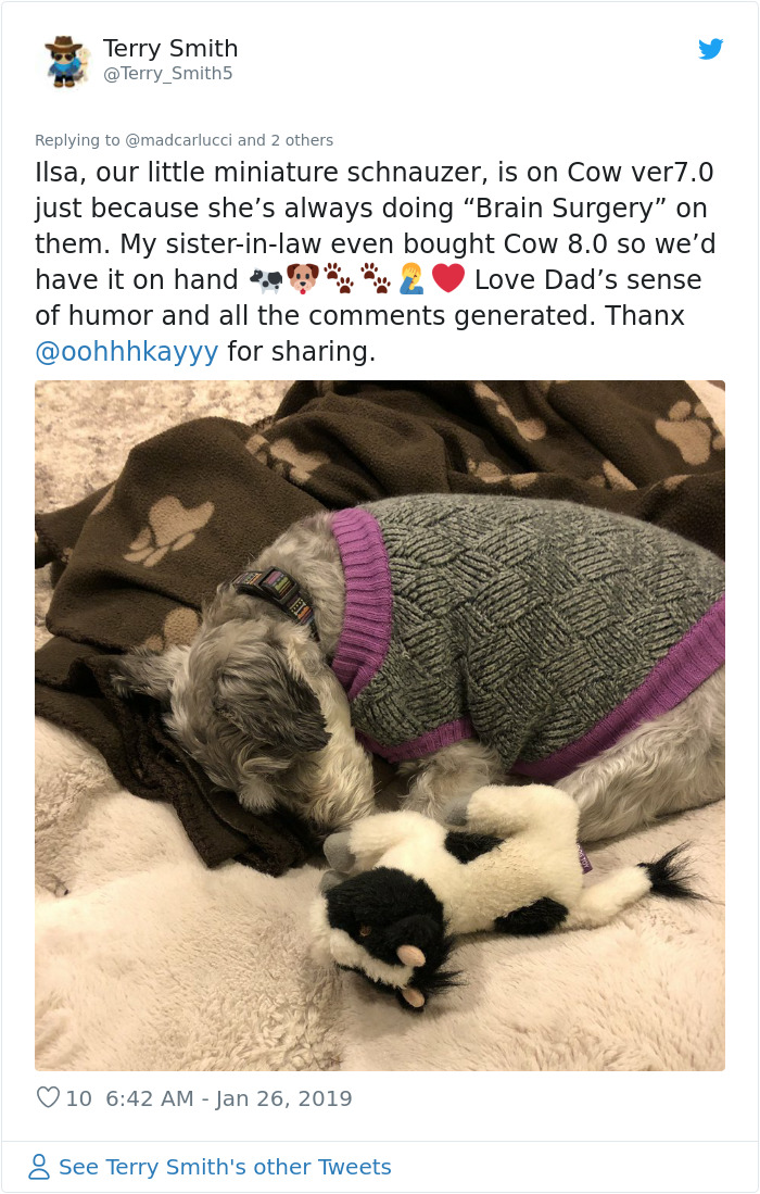 Wholesome Dad Finds Dog's 'Baby' Dying In The Rain, 'Hospitalizes' It And Sends Live Updates To The Family Wholesome Dad Finds Dog's 'Baby' Dying In The Rain, 'Hospitalizes' It And Sends Live Updates To The Family